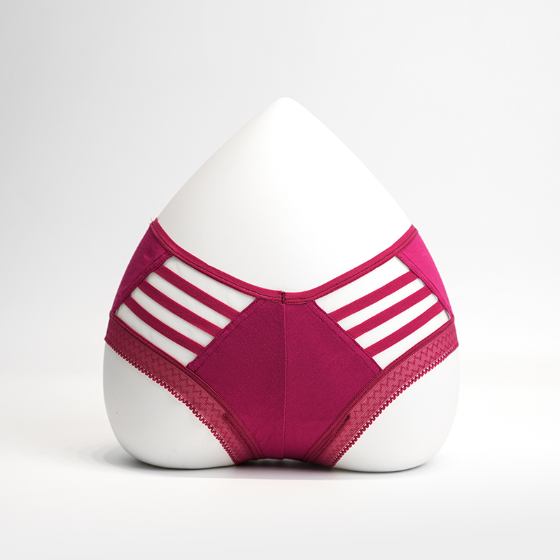 Briefurile sexy ale femeii